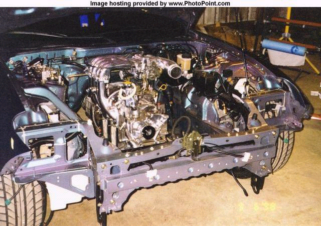 RE Amemiya cutting 1