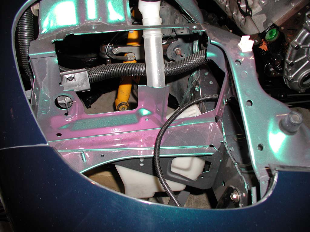 RE Amemiya cutting 2