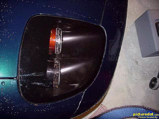 RE Amemiya from mmaragos