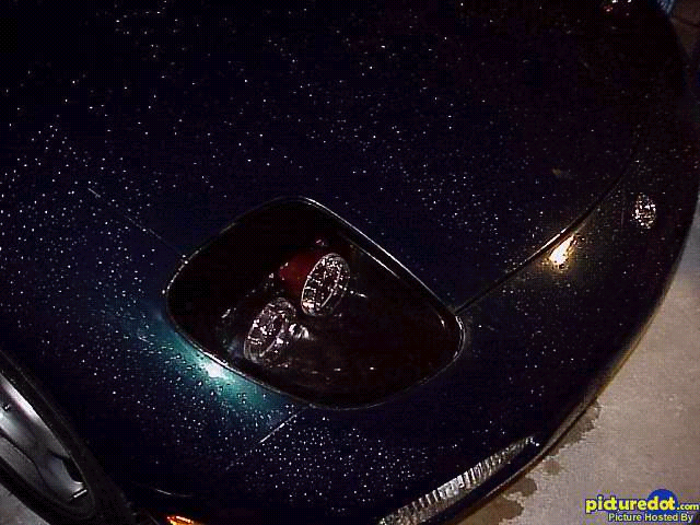 RE Amemiya from mmaragos