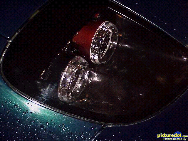 RE Amemiya from mmaragos