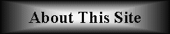 Lightning in a World of Thunder - About This Page