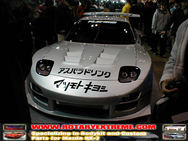 RE Amemiya