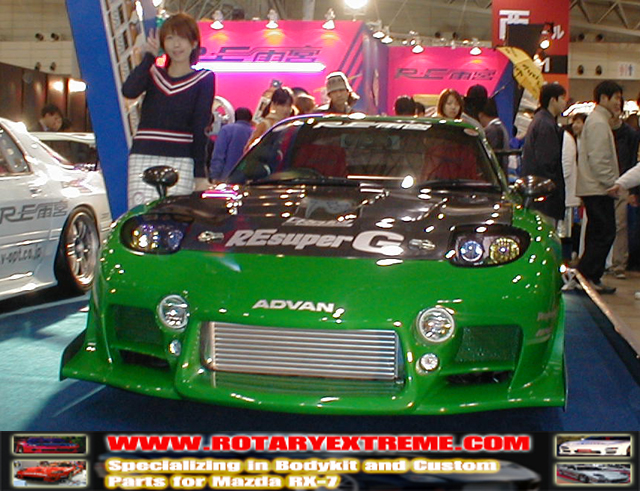 RE Amemiya