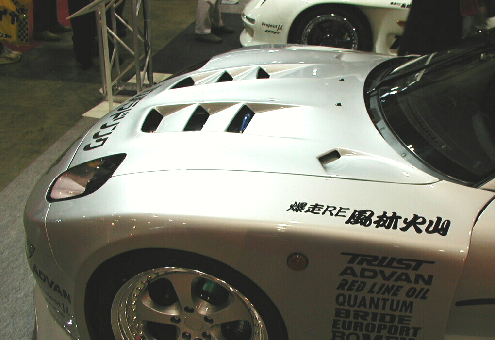RE Amemiya